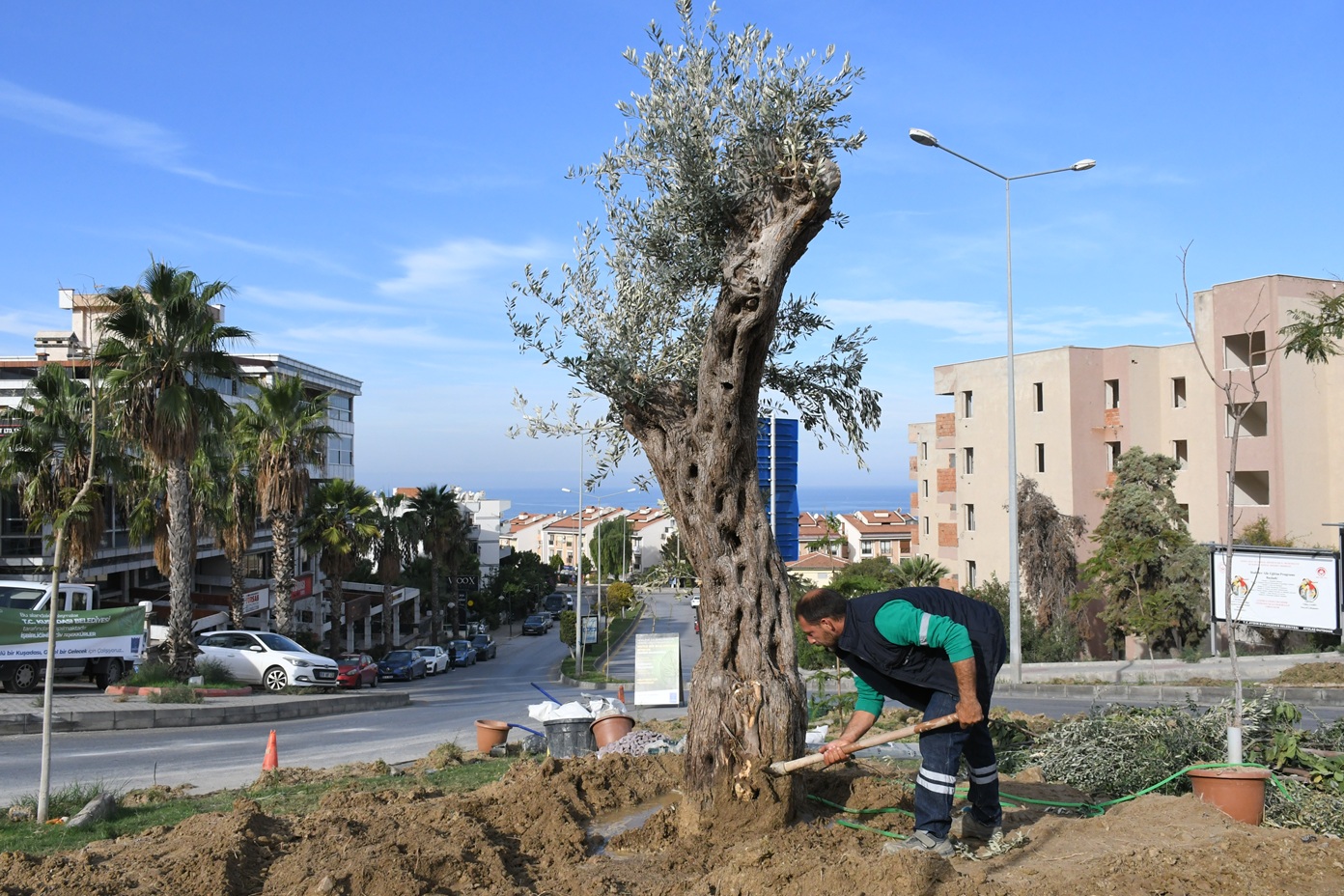 KUŞADASI BELEDİYESİ’NDEN PEYZAJ DÜZENLEMELERİNE SU TASARRUFU PLANLAMASI