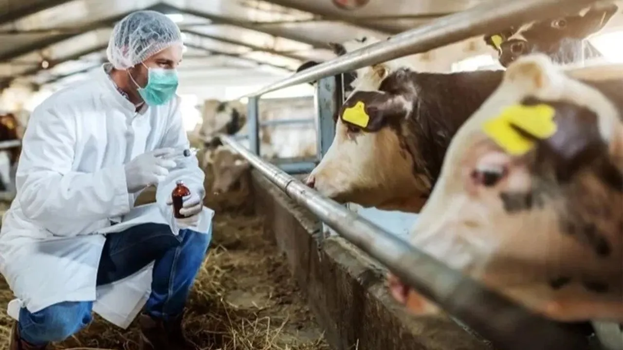 İTB’de ‘şap’ uyarısı: Et ve süt fiyatlarını etkileyebilir!