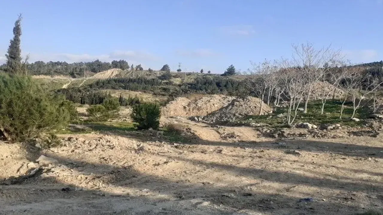 Bakanlık onay verdi... Orman arazisine moloz tesisi!