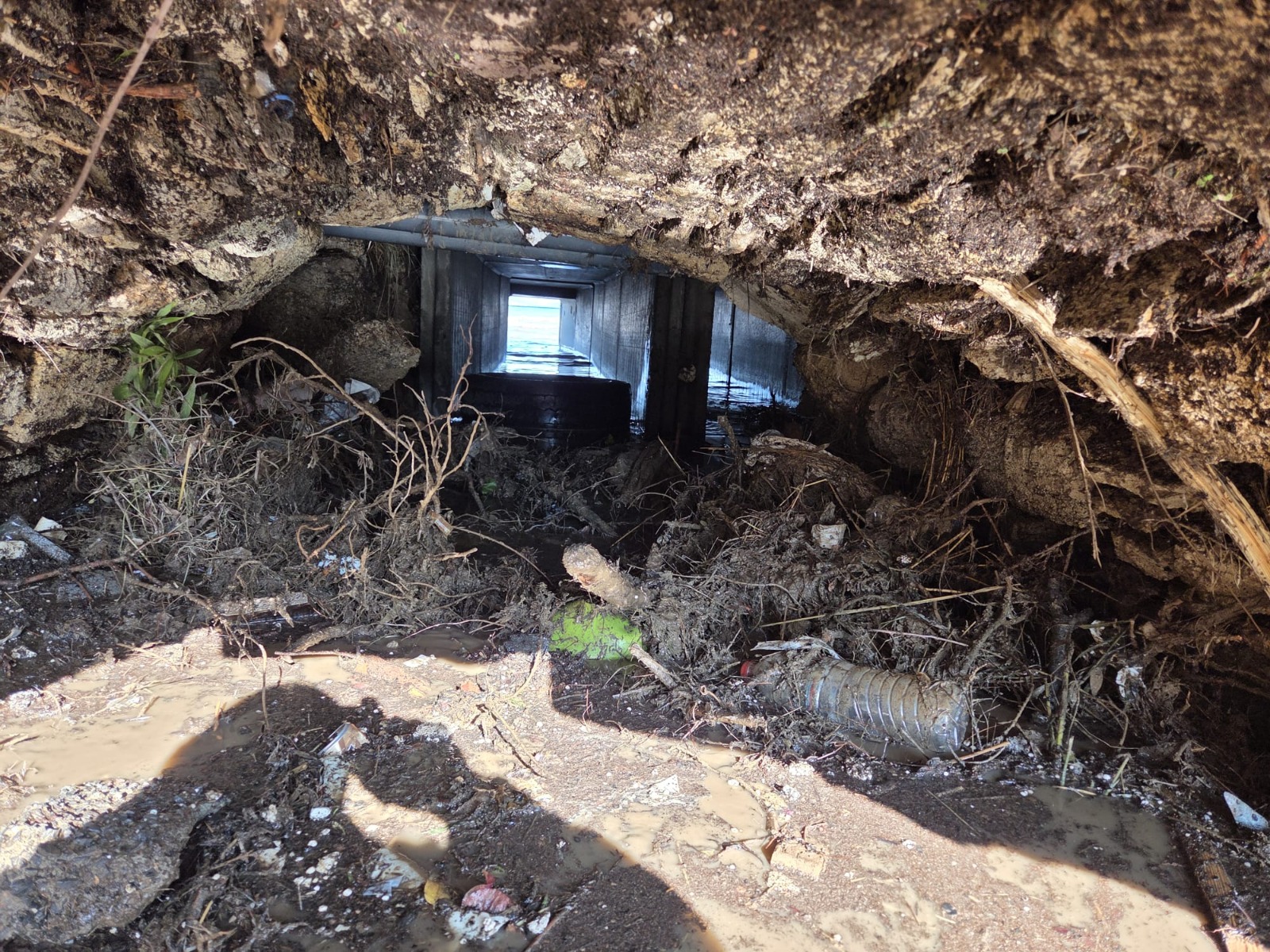 Foça’da rekor yağış sonrası dere temizliği ve alt yapı çalışmaları hız kazandı