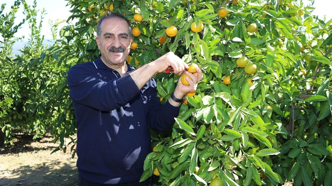Başkan Uçak, tarla-market ilişkisini yorumladı: Suçlu hava, havayı yapan Allah, Allah’ı da suçlayamayız!