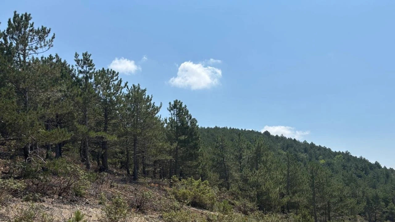 Kütahya Porselen’e ÇED’siz çifte izin: Erozyon alanına 102 yıllık taş ocağı!