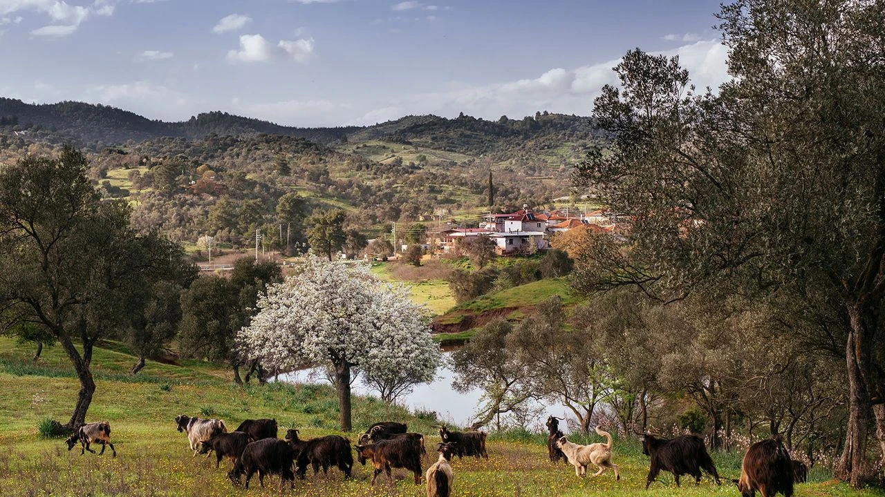 Yargı sürerken bakanlıktan yeni hamle: Sakin Şehir'de JES planı!