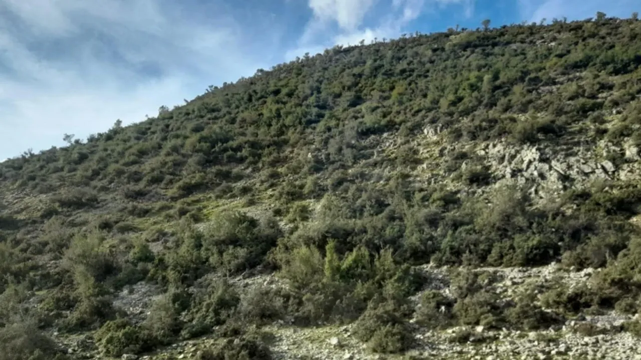 Metropolis'i kurtaran karar... Belçikalı şirkete üçüncü veto!