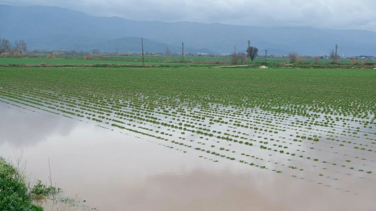 Uzmanından kritik uyarı: Yağışlar muhafaza edilmezse kuraklık sürecek!