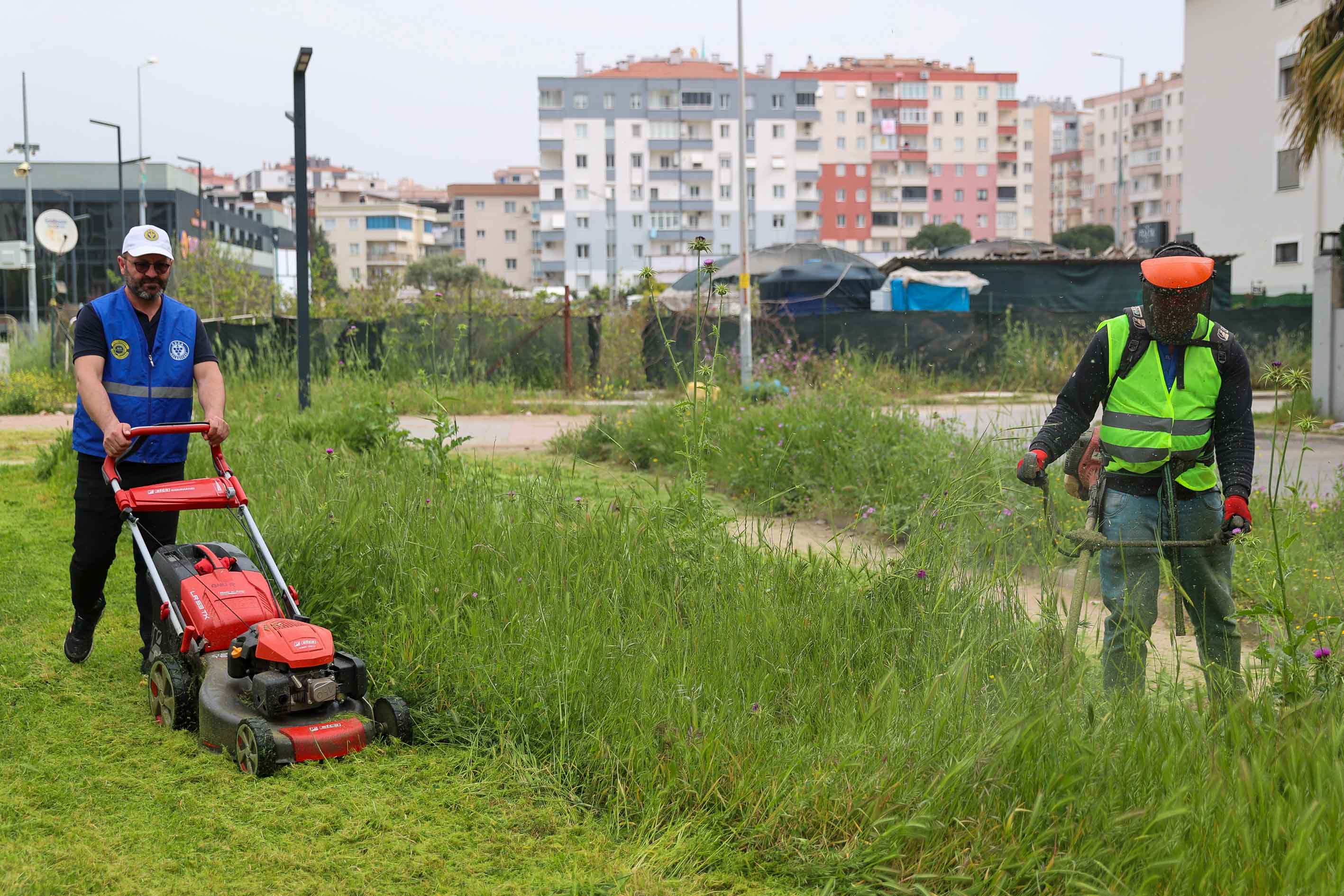 Buca genelinde kapsamlı kosa seferberliği