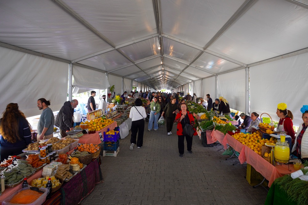 15. Uluslararası Alaçatı Ot Festivali’nde stantlar açıldı, yarışmalar ve etkinlikler hafta sonu boyunca sürüyor
