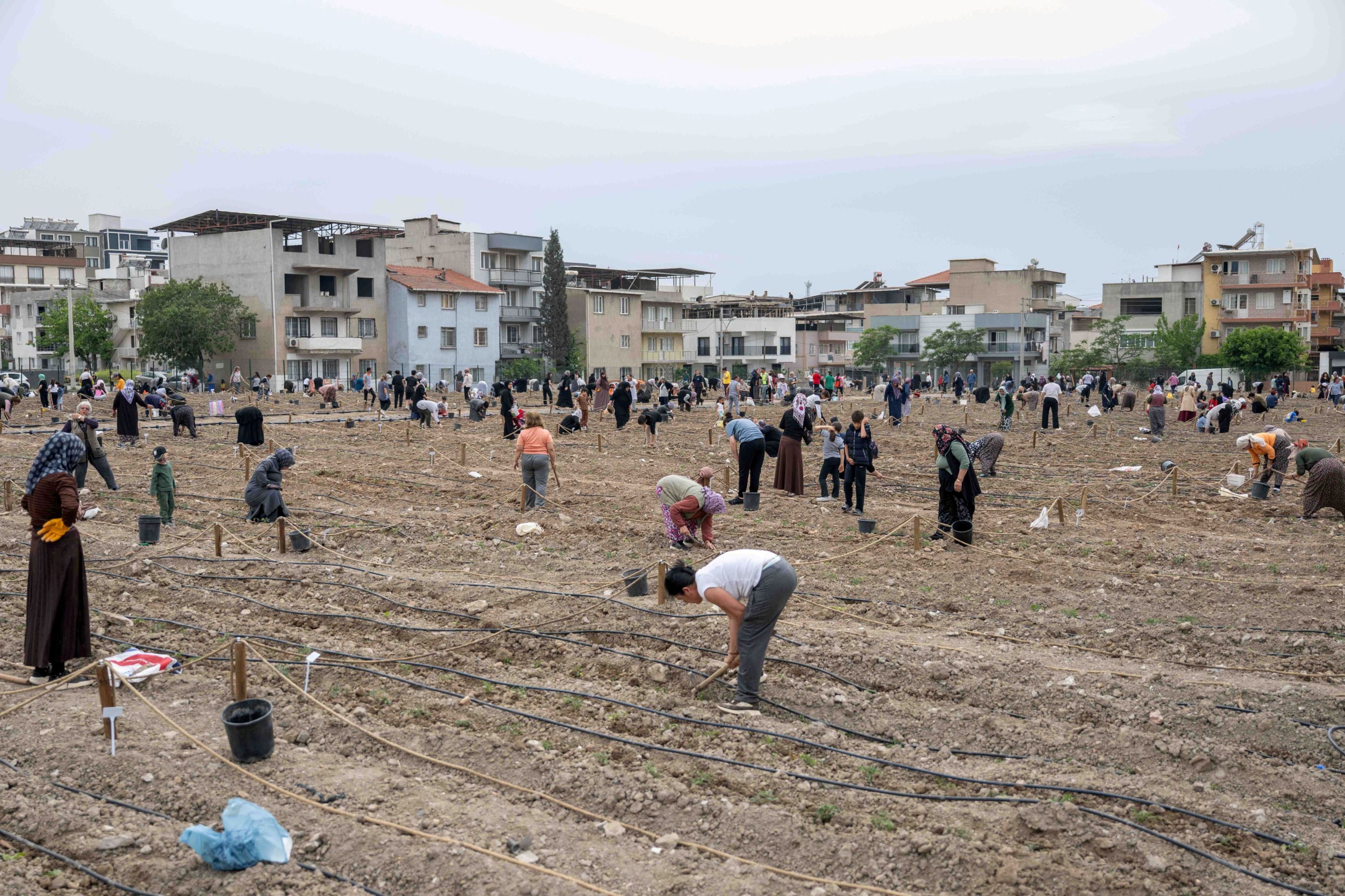 Avrupa’dan Bornova’ya kent bostanı incelemesi