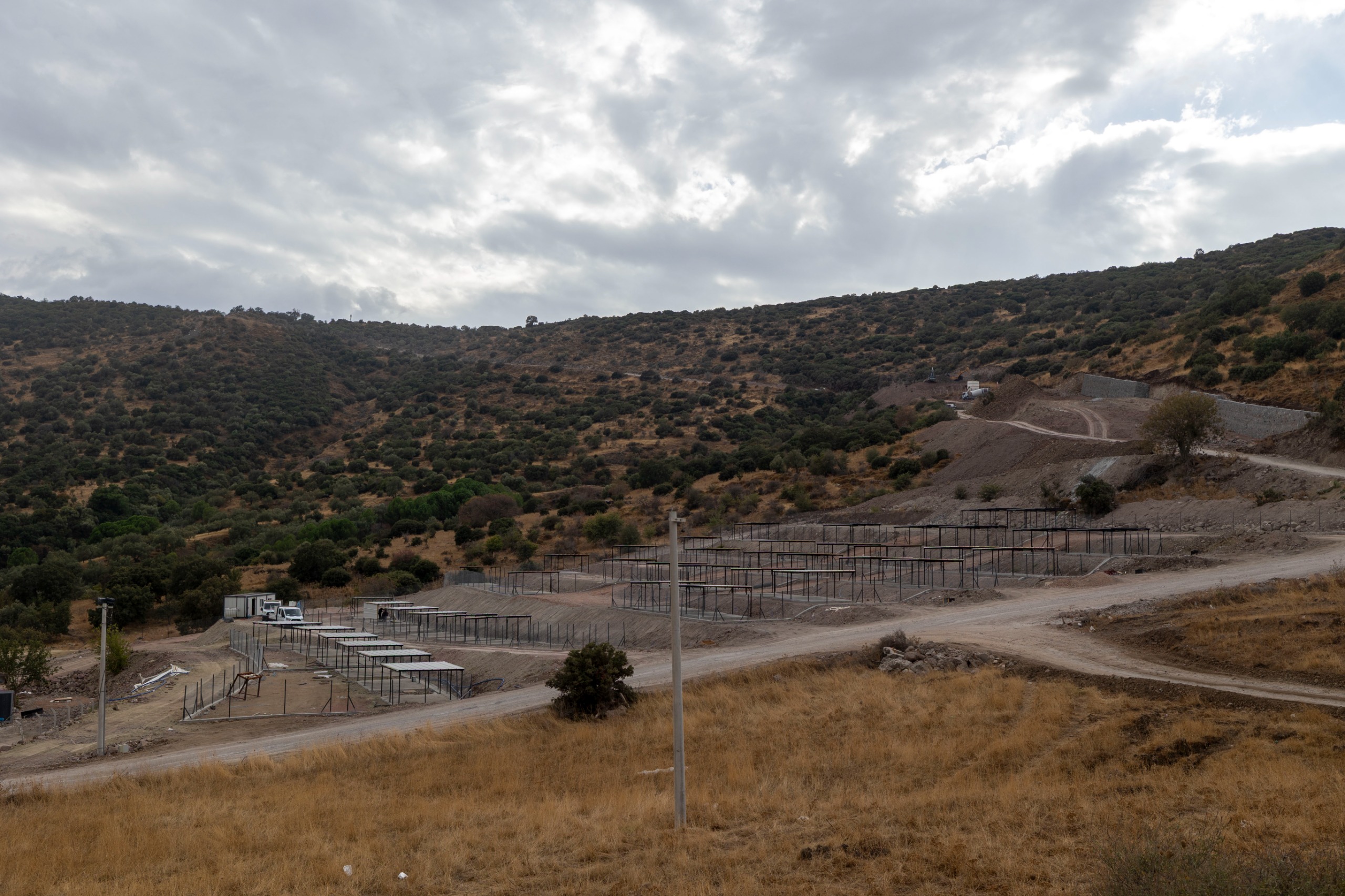 Dikili’ye tam teşekküllü sokak hayvanları kampüsü