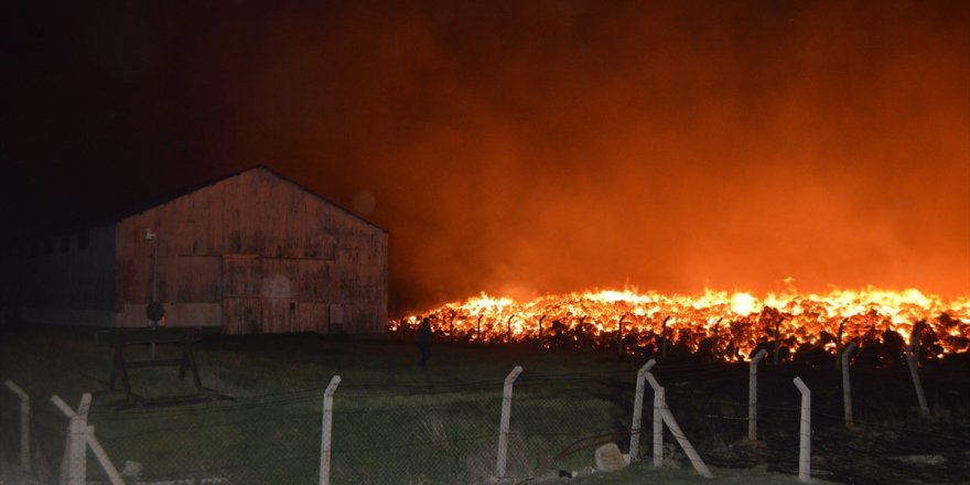 Afyonkarahisar'da biyokütle enerji santralinde yangın çıktı