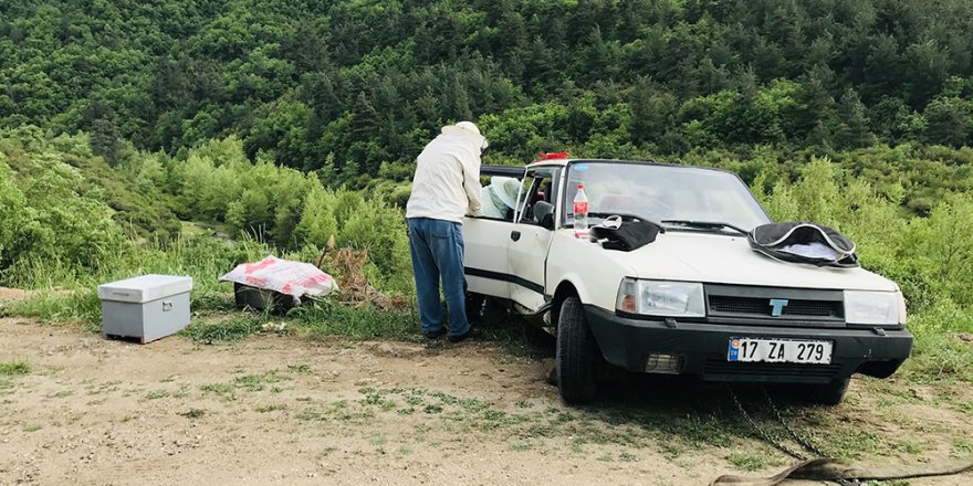 Çanakkale'de takla atan otomobildeki arılar yola saçıldı