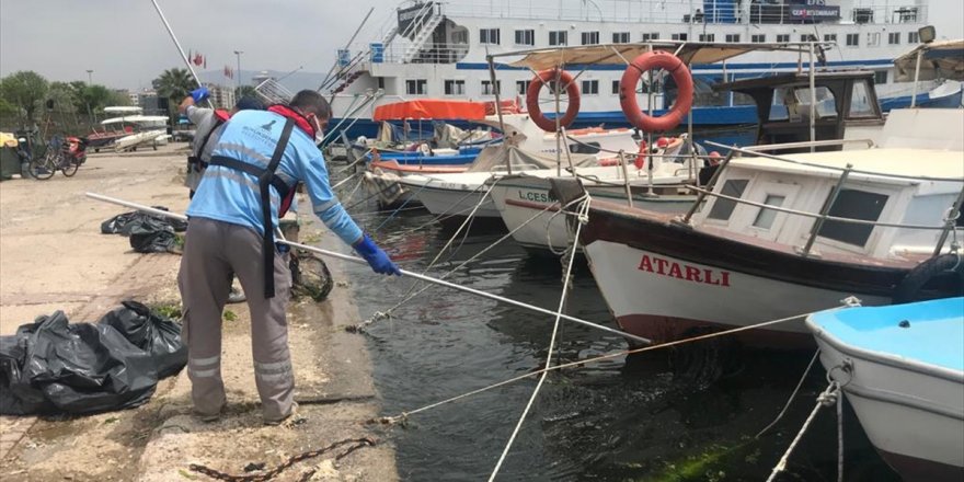 İzmir Körfezinde görülen deniz marulları temizlendi