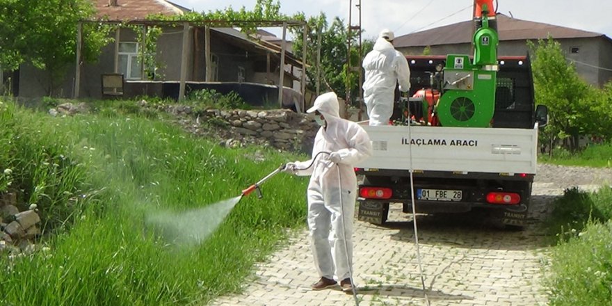 Hakkari’de çekirge istilası