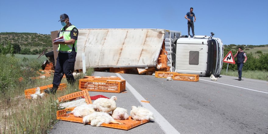 Manisa'da tırın devrilmesi sonucu çok sayıda tavuk telef oldu