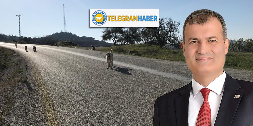 İYİ Partili Tire Belediye Başkanı Atakan Duran'dan atılan 'köpekler' açıklaması