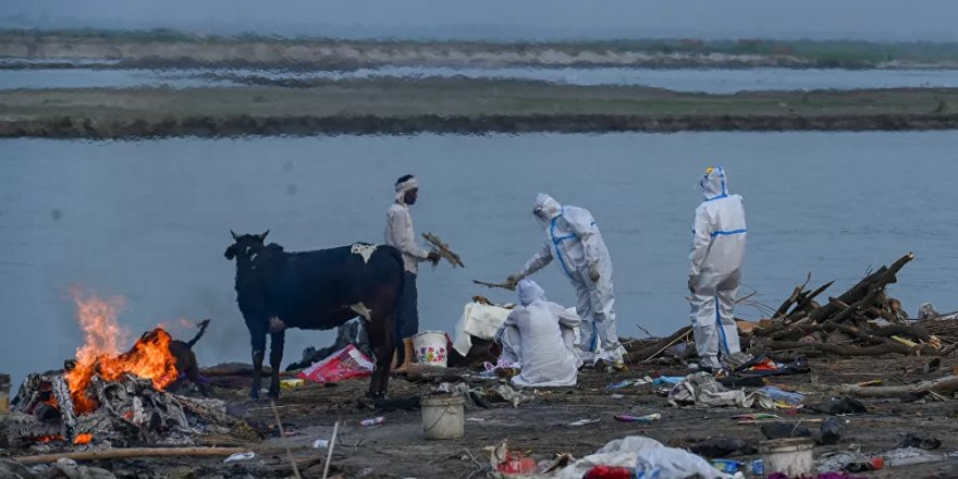 Hindistan'da Kovid cehennemi: Ganj Nehri'ne atılan ölüleri yakalamak için ağ serildi