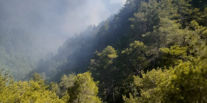 Amanos Dağları’ndaki yangın kontrol altına alındı