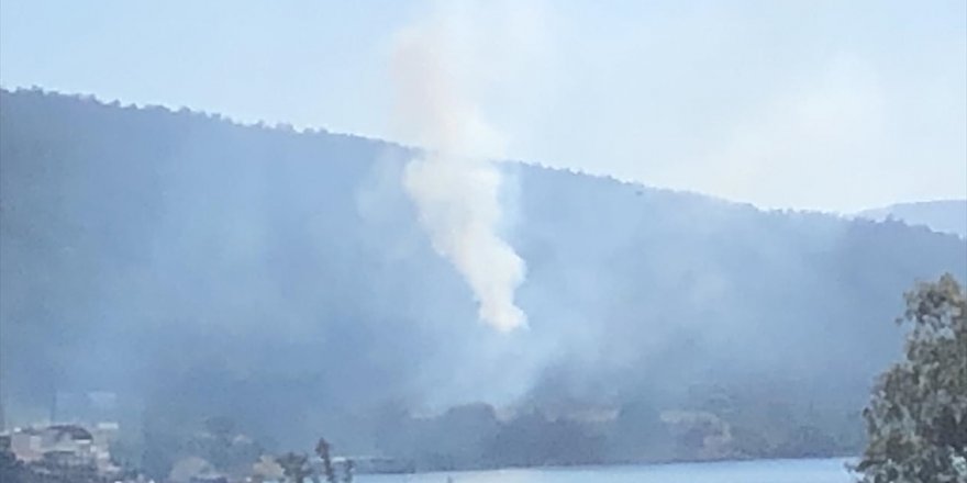 Muğla'nın Bodrum ilçesinde orman yangını çıktı