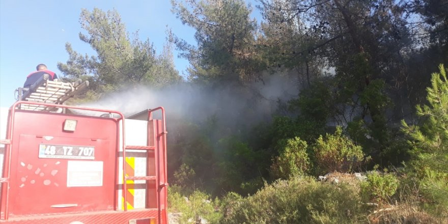  Muğla'nın Bodrum ilçesinde orman yangını kontrol altına alındı