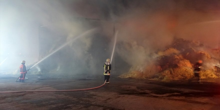 Manisa'da besi çiftliğinde çıkan yangına müdahale ediliyor