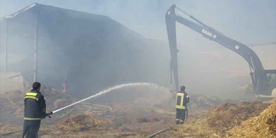 Manisa'da besi çiftliğinde çıkan yangın 9 saatlik müdahaleyle söndürüldü