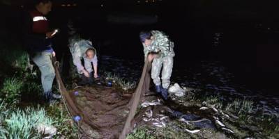 Van Gölü'nde kaçak avlanan 3.5 ton inci kefali ele geçirildi