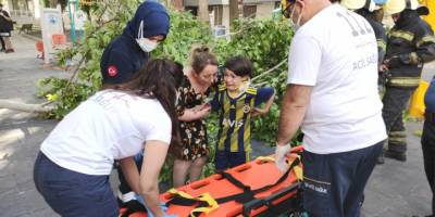 Üzerine ağaç devrildi, iğneden korktuğu için ambulansa binmedi