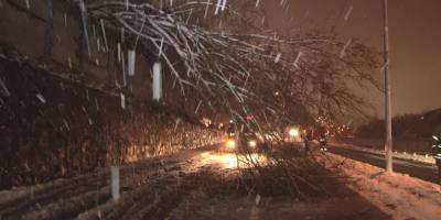 Sarıyer'de aşırı kar yağışı nedeniyle savrulan ağaç yola devrildi