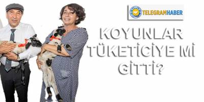 Seferihisar çalkalanıyor! Büyükşehir'in dağıttığı koyunlar üretici yerine tüketiciye mi gitti?
