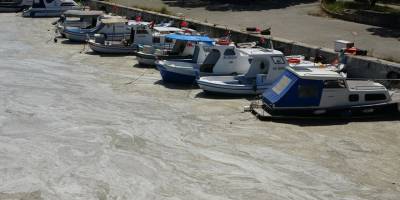 Bilim insanları, müsilaj sorununu çözmek için Marmara'ya açıldı