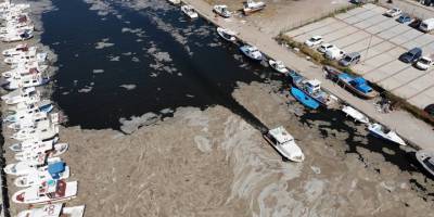 Hidrobiyolog Artüz'den 'deniz salyası' açıklaması: Marmara Denizi 1989'da öldü