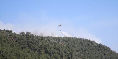 Milas'ta ormanlık alandaki yangına müdahale ediliyor