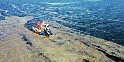 İzmit Körfezi yeniden deniz salyası ile kaplandı