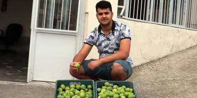 Aydın’da ilek alım satımı başladı