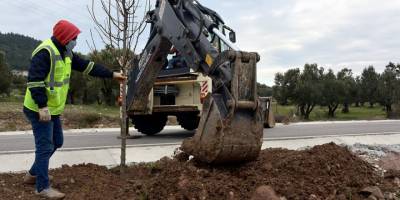 Aliağa'daki Bozköy'de 75 adet süs armudu toprakla buluştu