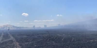 Tire'de nar ağaçları ile buğday tarlalarının bulunduğu alanda çıkan yangın söndürüldü