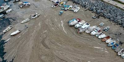 Marmara’da müsilaj sorunu: ‘Çözüm arayanlar tozlu raflara baksınlar’