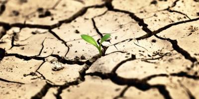 'Türkiye’nin üçte ikisinde kuraklık acil durum düzeyinde'