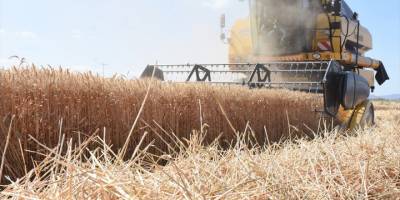 Aydın Ticaret Borsası Başkanı Çondur: "İlimizde buğday ekili alan yüzde 37 arttı"