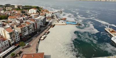 Bilim insanları Marmara Denizi'ndeki müsilaj sorununa acil çözüm için YÖK'te toplanacak