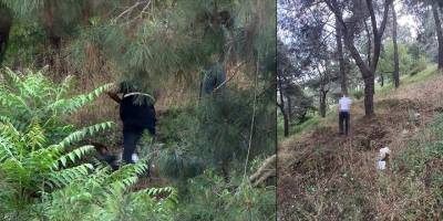 Kayıp adam ağaca asılı halde bulundu