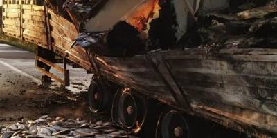 Balık yüklü tırda yangın