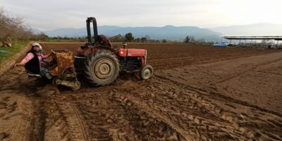 Ödemişli patates üreticisi fiyatlardan dertli