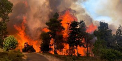 Kudüs'te çıkan yangında 2 bin 650 dönüm arazi kül oldu