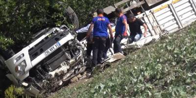 Büyükbaş kurbanlık hayvan taşıyan tır devrildi: 1 kişi hayatını kaybetti