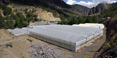 Gümüşhane’nin en büyük sera alanı Torul'da oluşturuldu