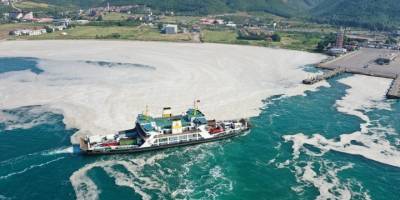 Müsilaja yönelik Meclis araştırma komisyonu kurulmasına dair karar Resmi Gazete'de yayımlandı
