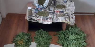 Evin bahçesinde 110 kök kenevir yetiştirdiler