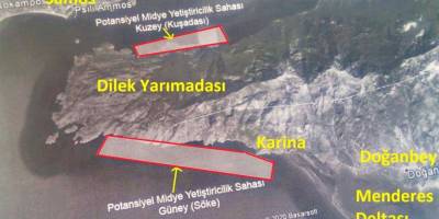 Milli Park’ta midye çiftliği tartışması