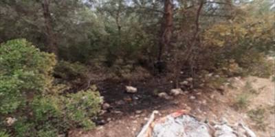 İzmir'de 4 ayrı noktada çıkan orman yangınlarına ilişkin yakalanan terör örgütü zanlısı tutuklandı